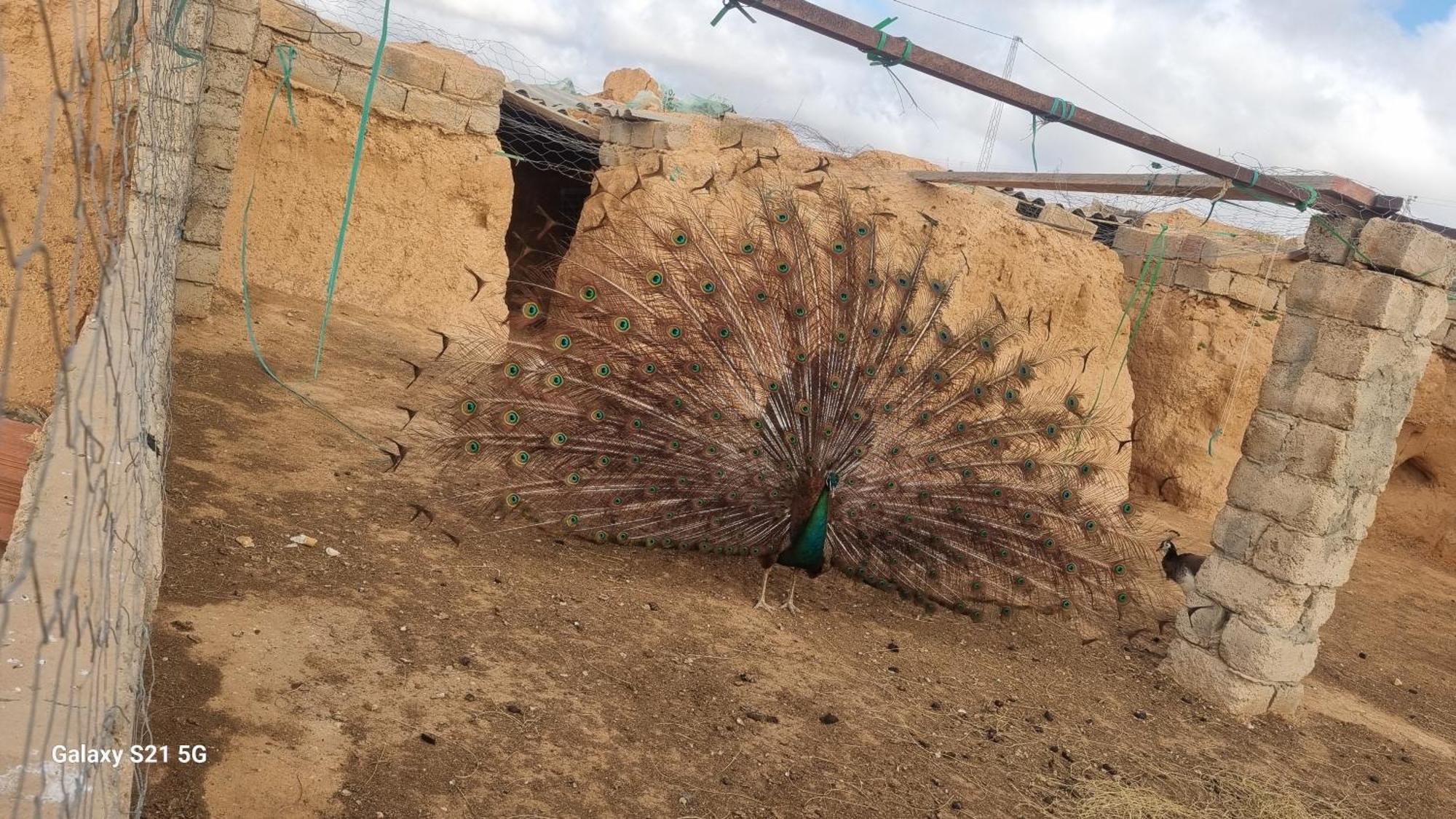 Maison D'Hote Dar Massouada Toujane Zewnętrze zdjęcie
